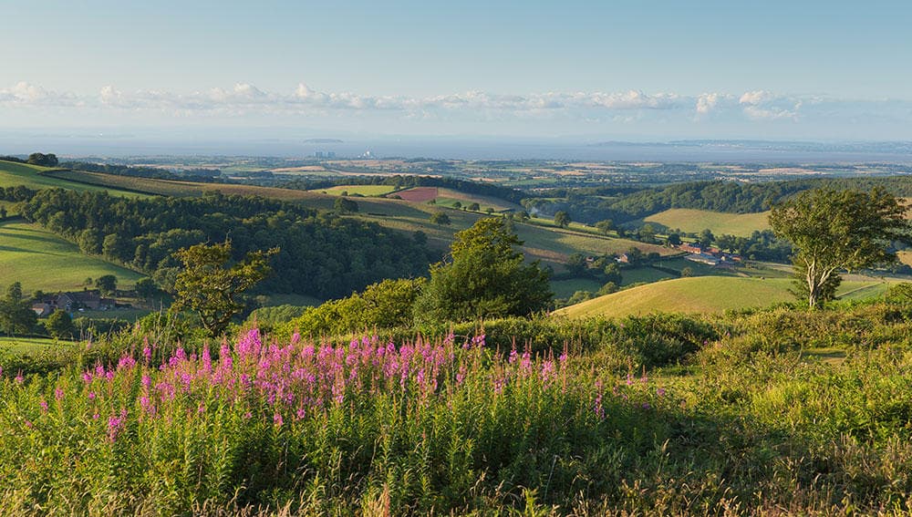 Quantock Hills Somerset