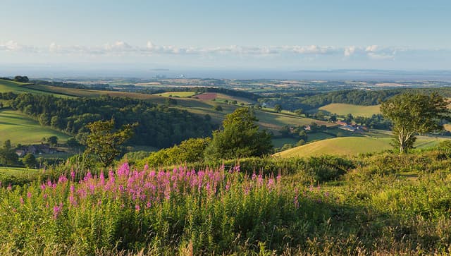 Quantock Hills Somerset